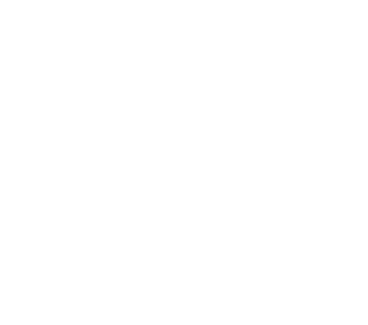 DITRIX CONSULTORES EMPRESARIALES